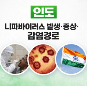 니파바이러스 감염증