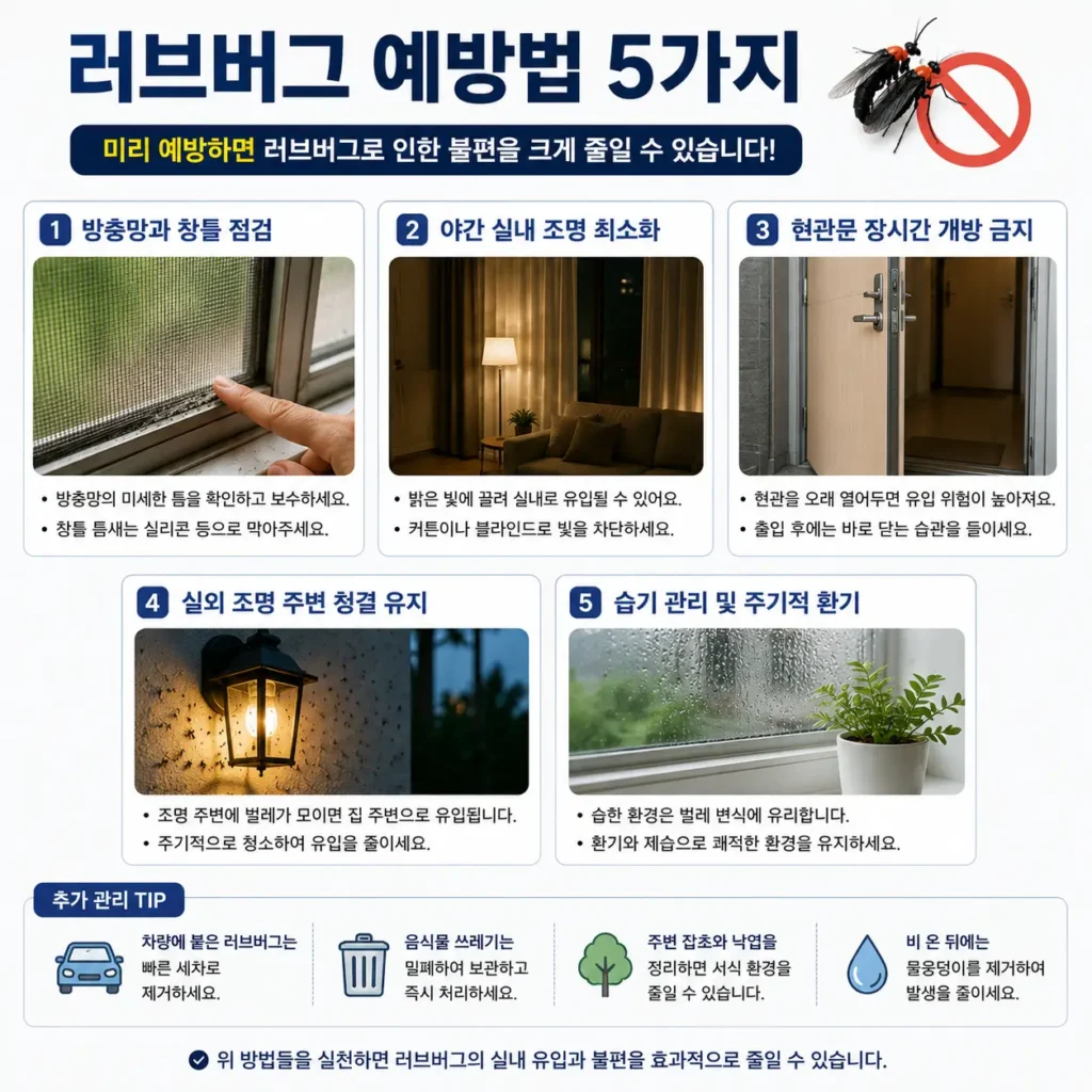 러브버그 예방법 방충망 관리